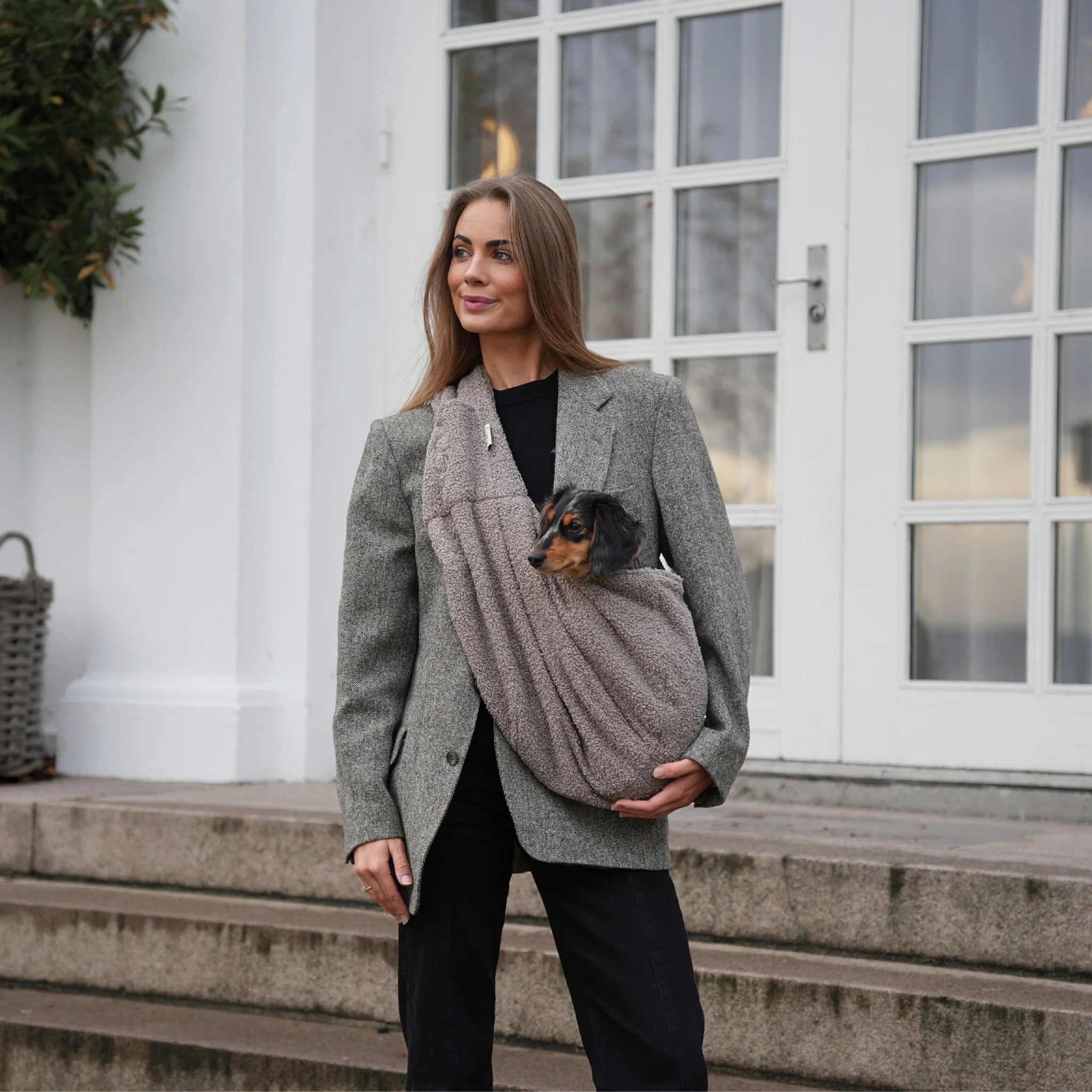 Ava Puppy Carrier | Teddy - Image 3