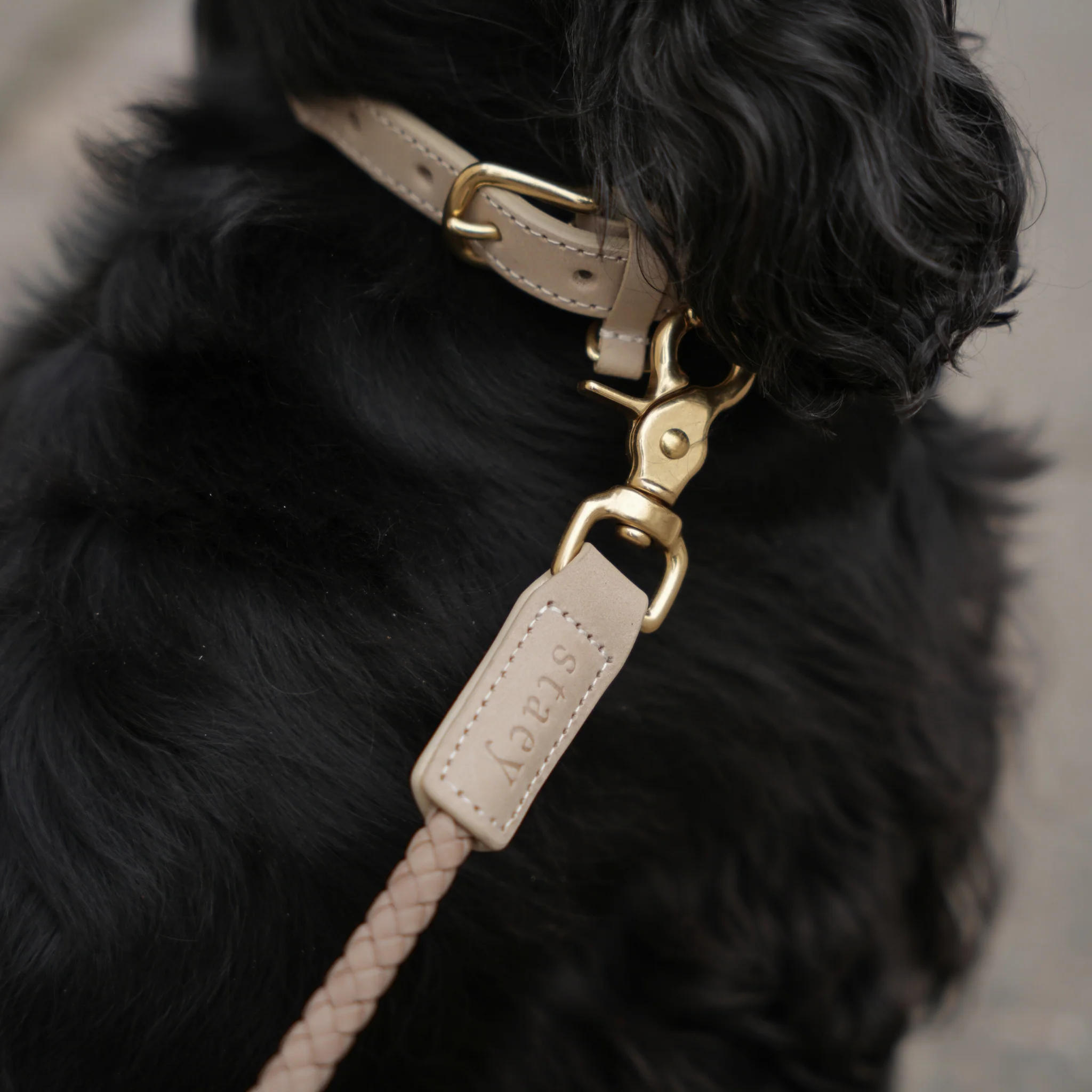 Kaia Braided Dog Collar | Taupe - Image 3