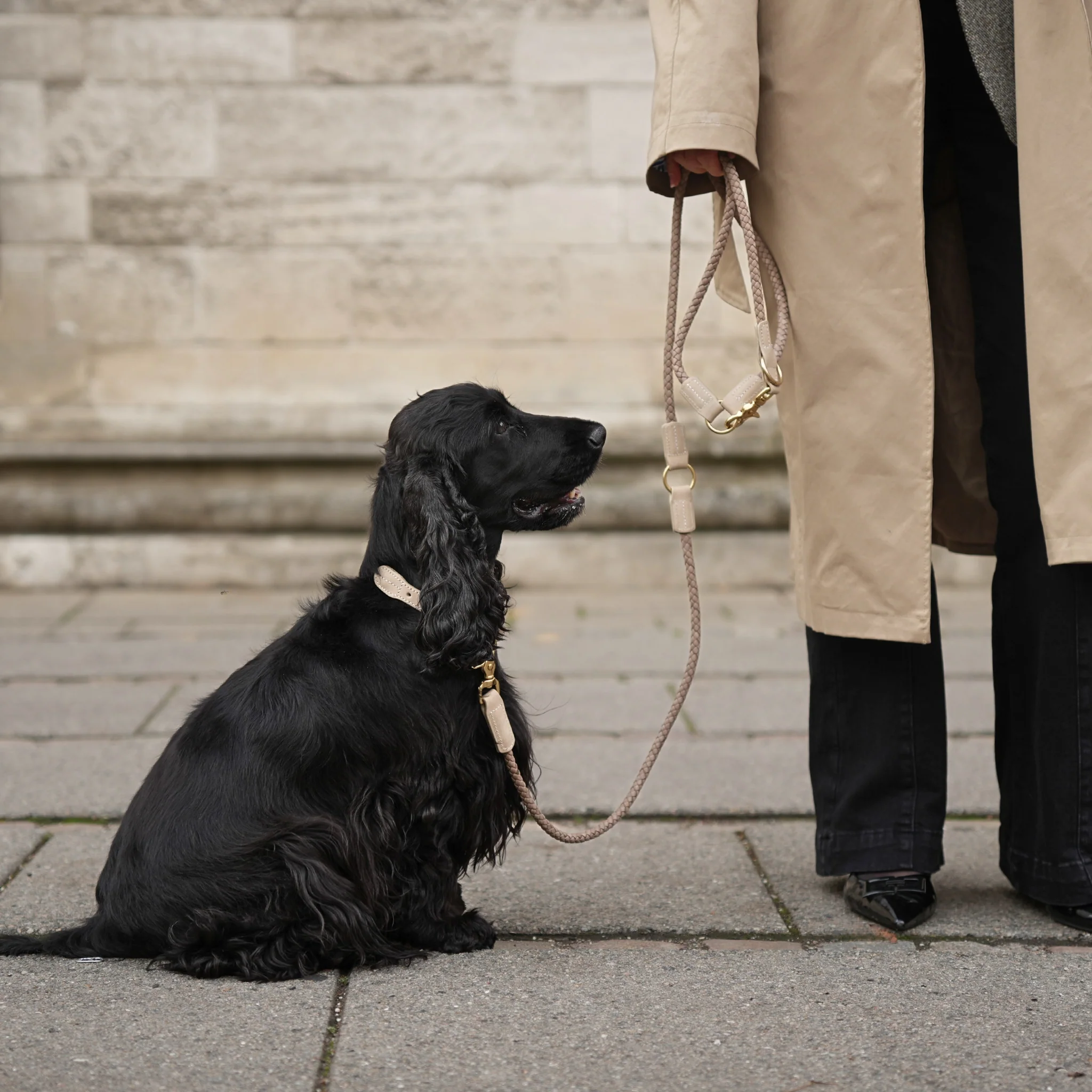 Kaia Braided Dog Collar | Taupe - Image 5