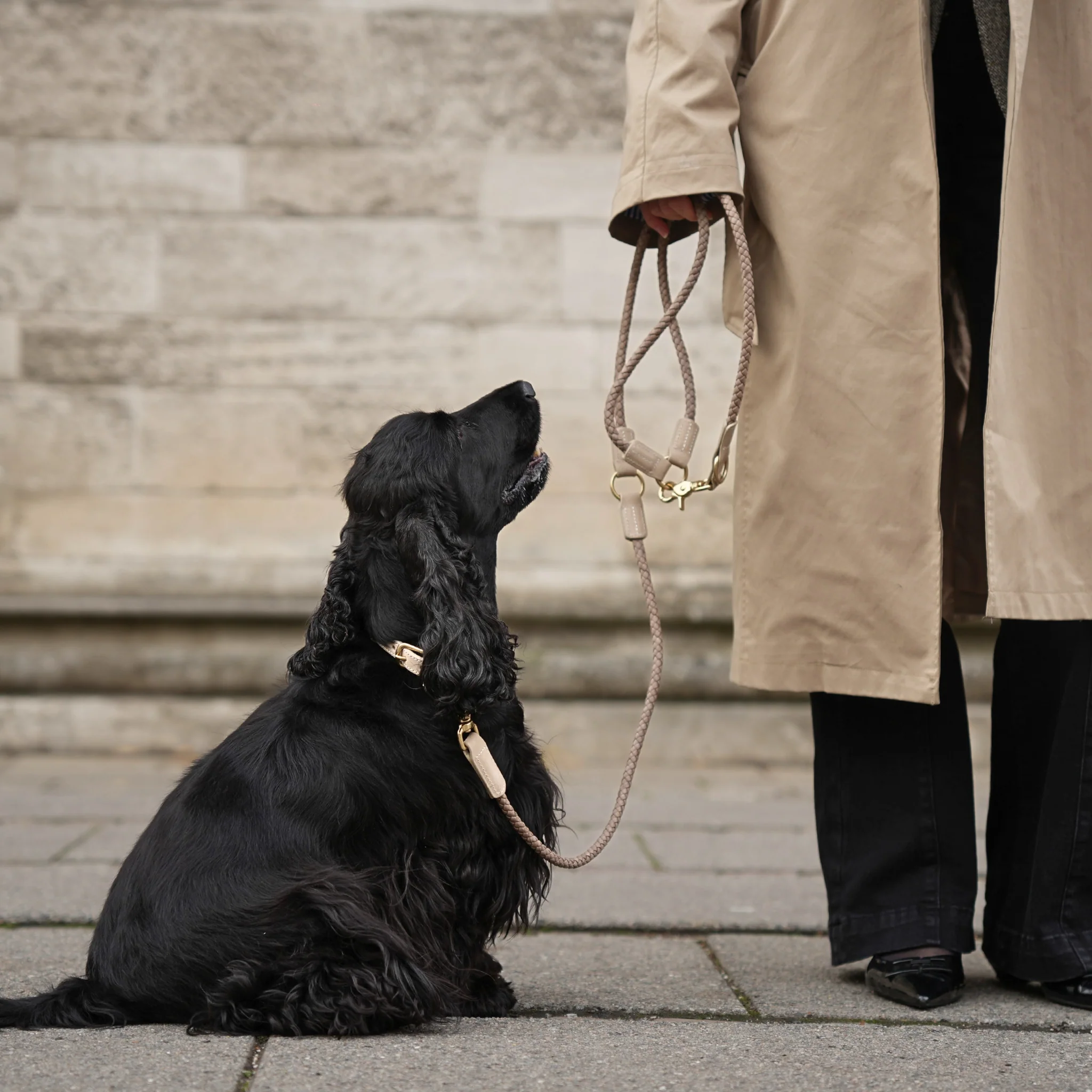 Kaia Braided Dog Leash | Taupe - Image 5
