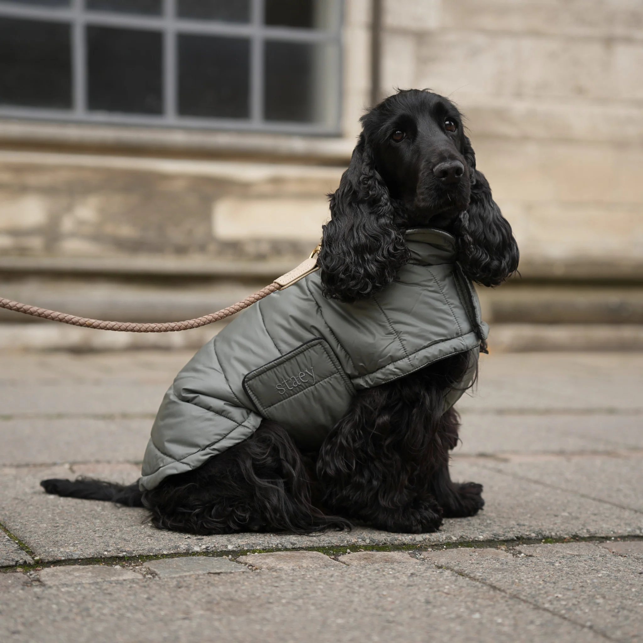Nora Dog Coat | Moss Green - Image 3