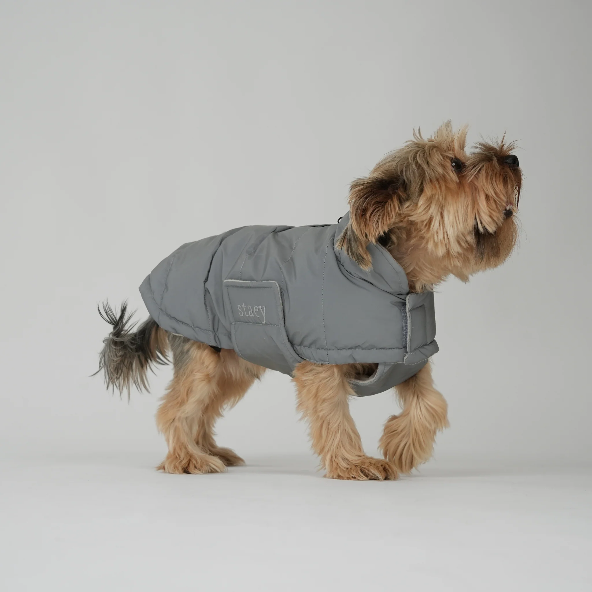 Nora Dog Coat | Reflective - Image 4