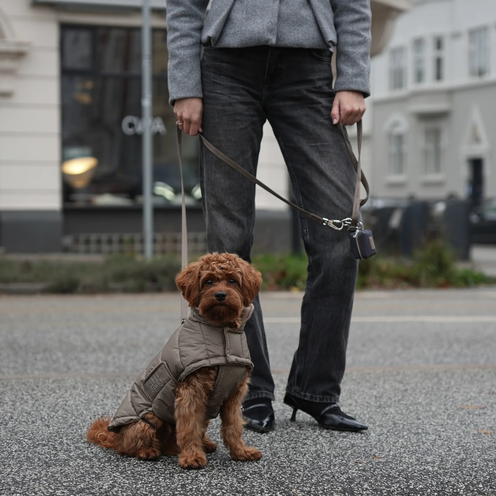 Nora Dog Coat | Taupe - Image 3