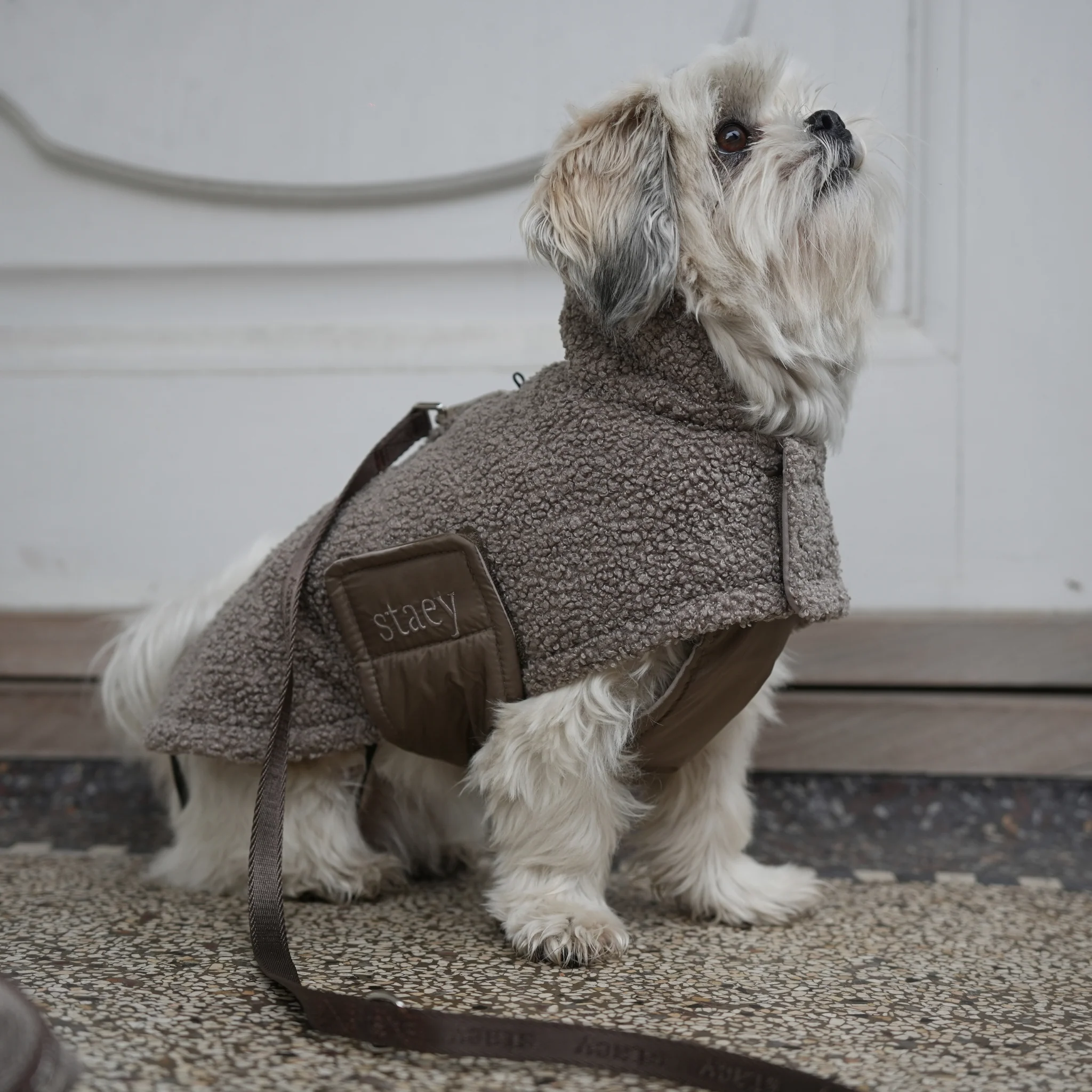 Teddy Dog Coat | Taupe - Image 3