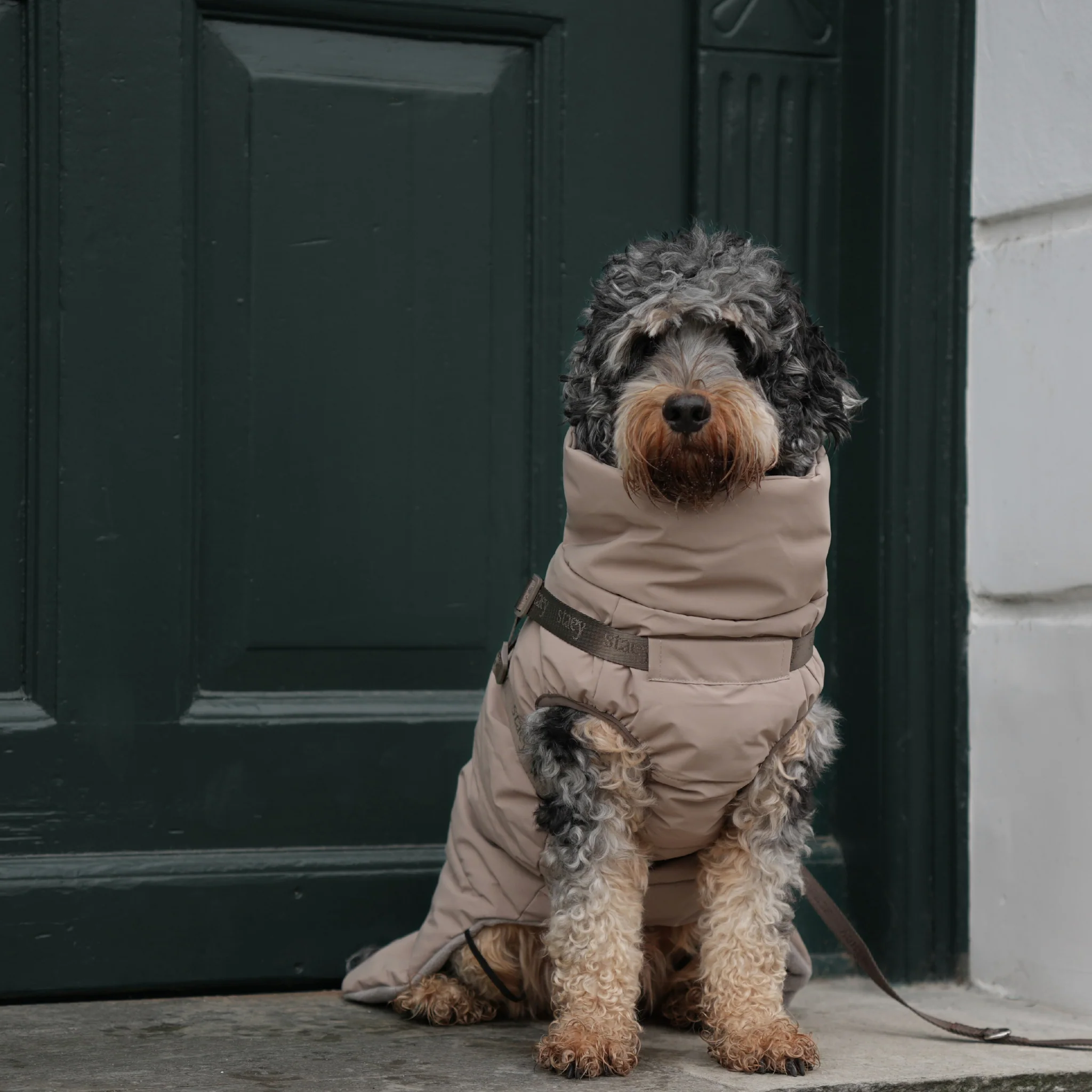 Vera Dog Coat w. Harness | Sand - Image 4
