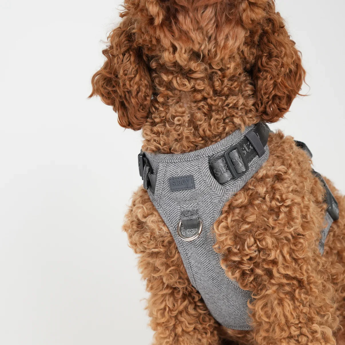 Elma Dog Harness | Dusty Blue - Image 5