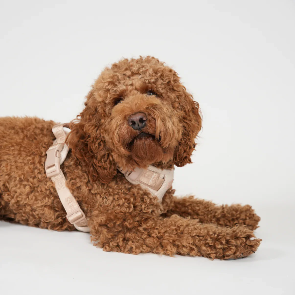 Elma Dog Harness | Light Rose - Image 11