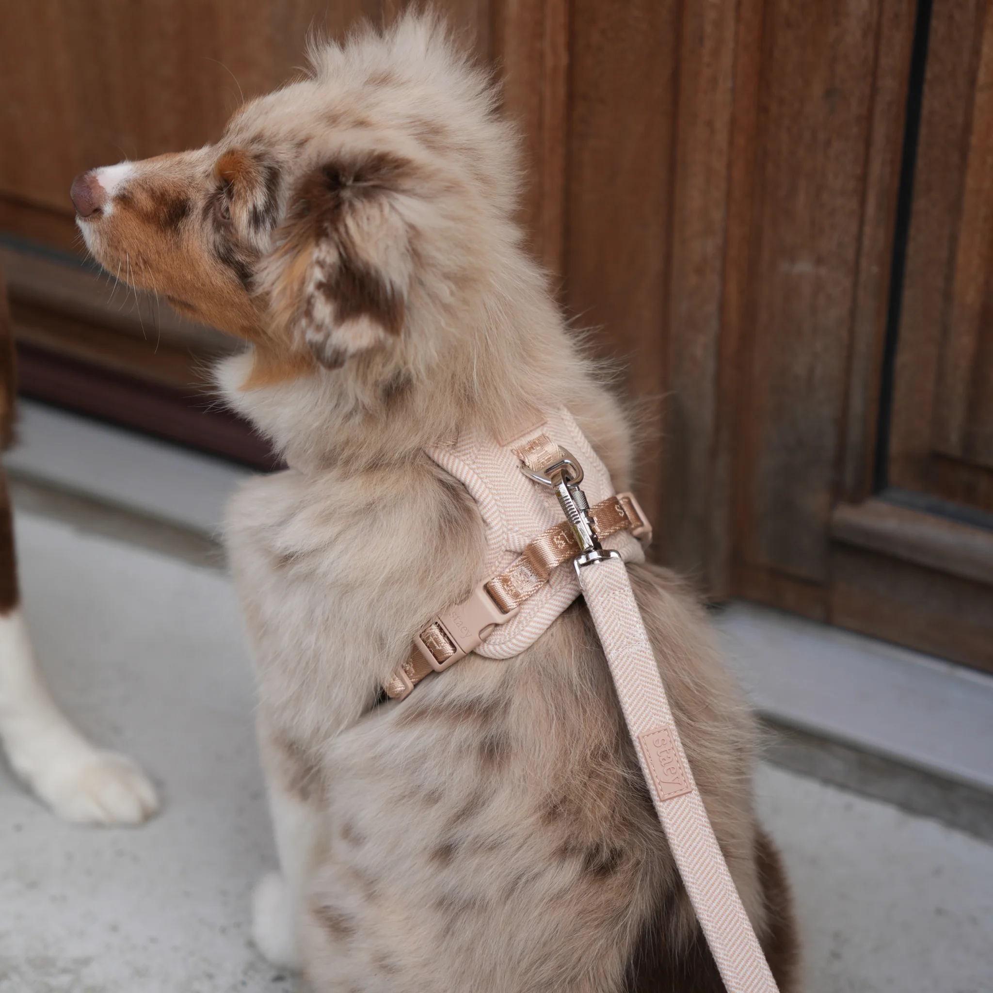 Elma Dog Harness | Light Rose - Image 4