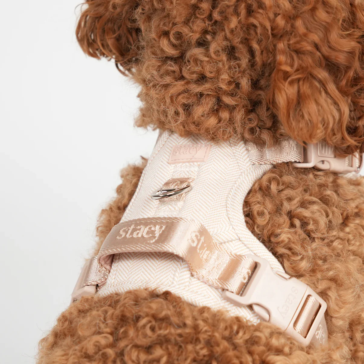 Elma Dog Harness | Light Rose - Image 5