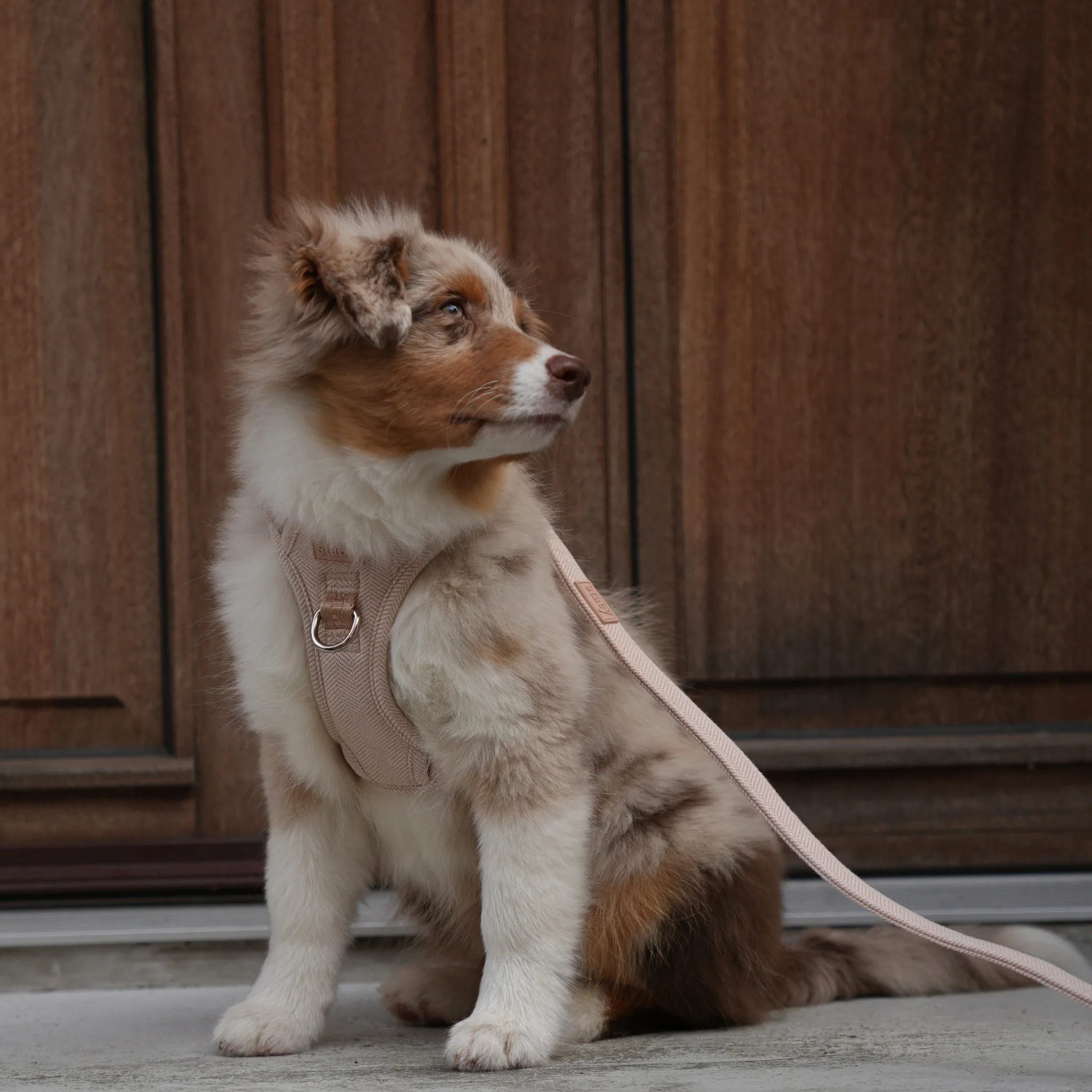 Elma Dog Harness | Light Rose - Image 7