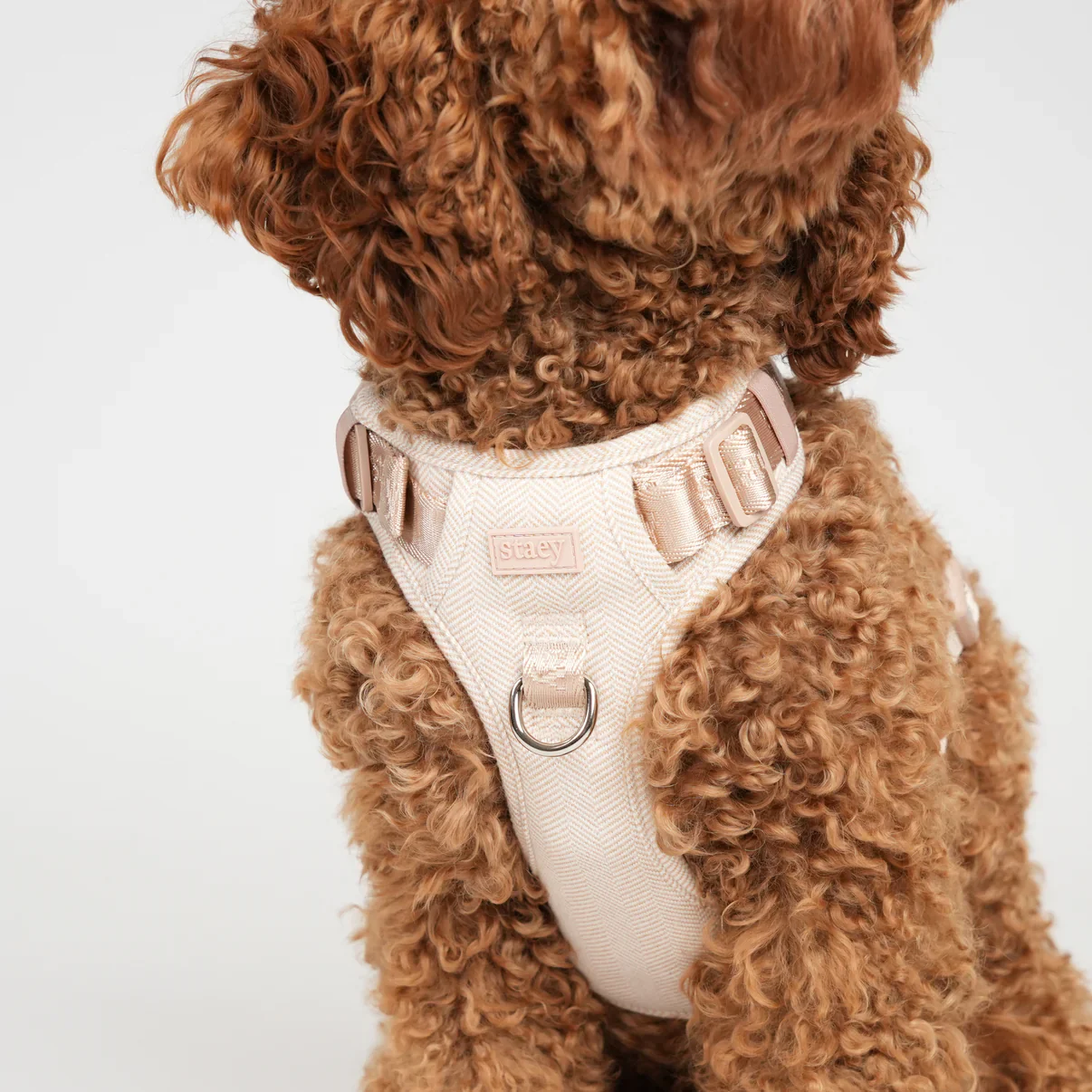 Elma Dog Harness | Light Rose - Image 9