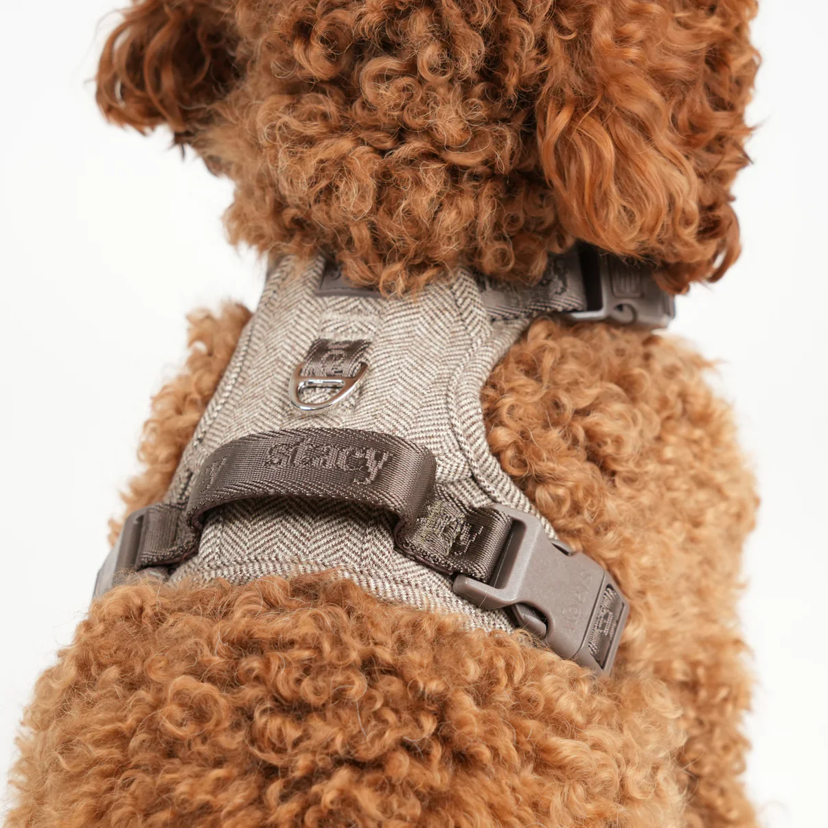 Elma Dog Harness | Mocca - Image 6