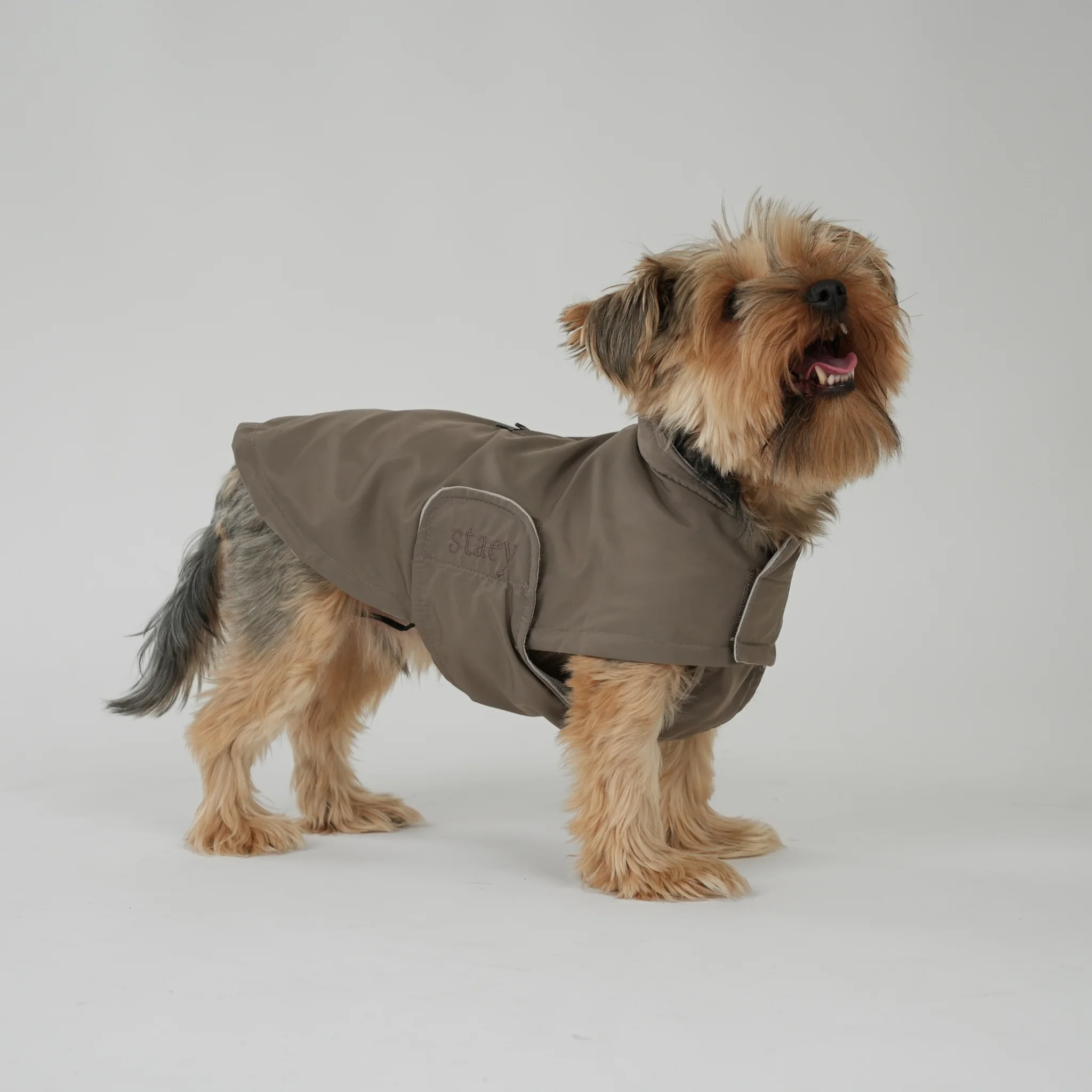 Vega Dog Raincoat | Taupe - Image 3