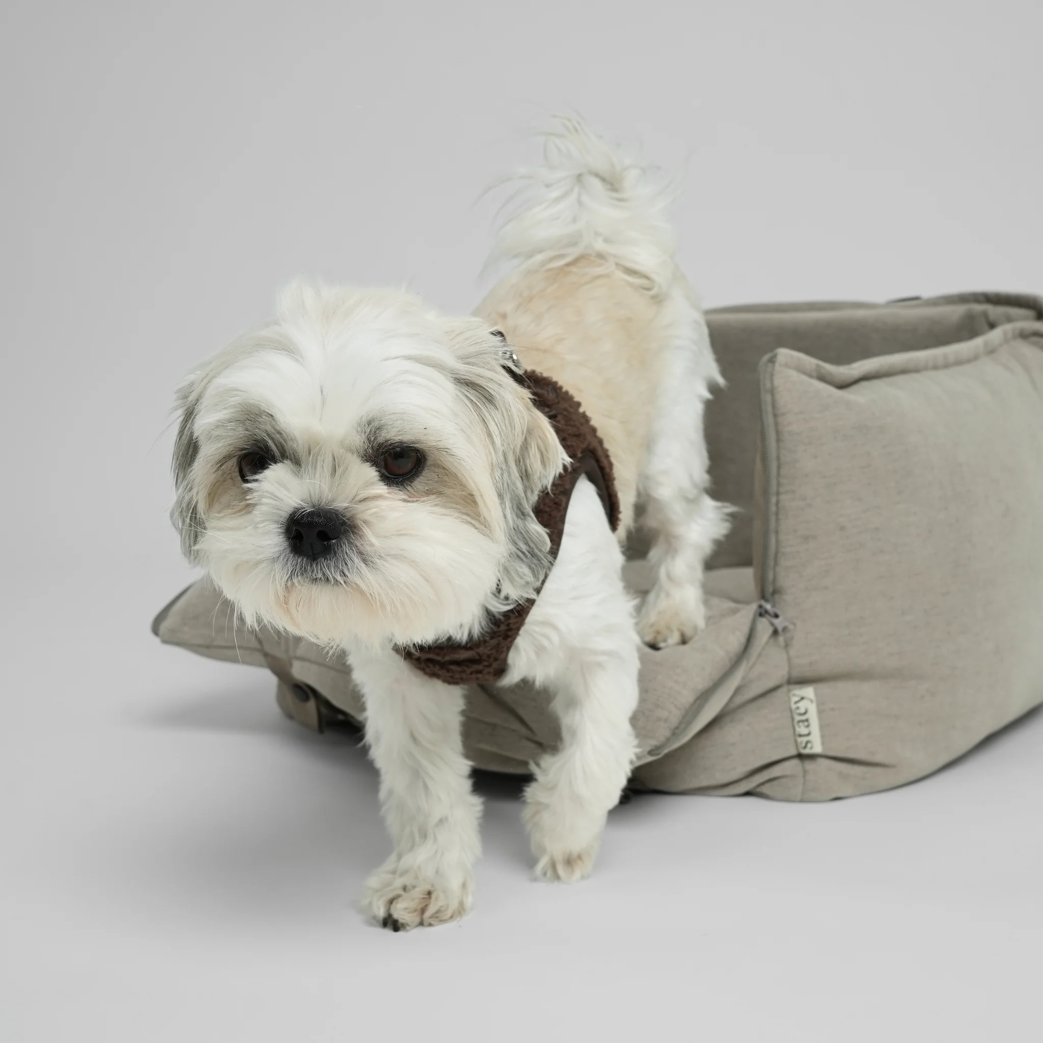 Fenja 2-in-1 Car Seat | Dune - Image 12