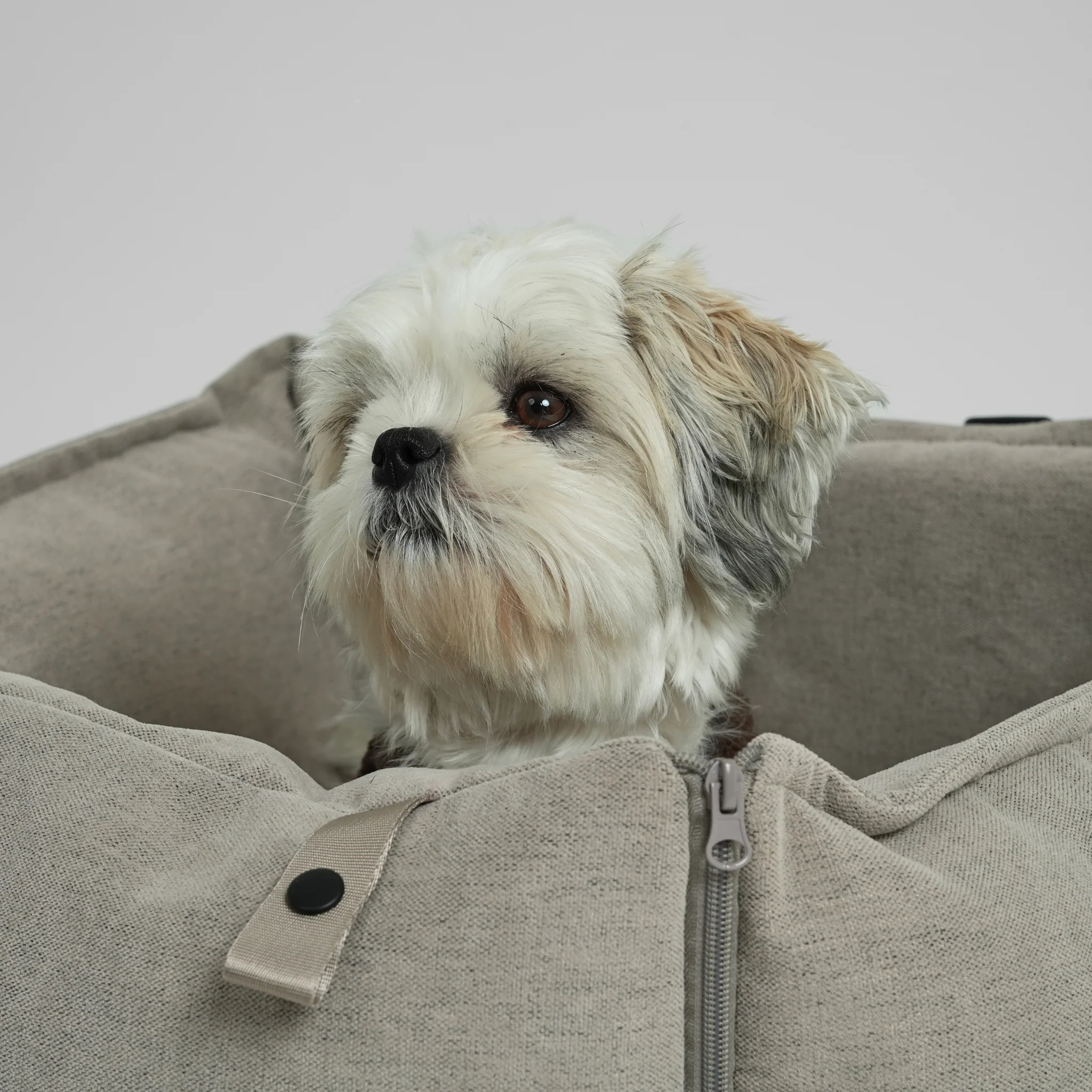 Fenja 2-in-1 Car Seat | Dune - Image 9