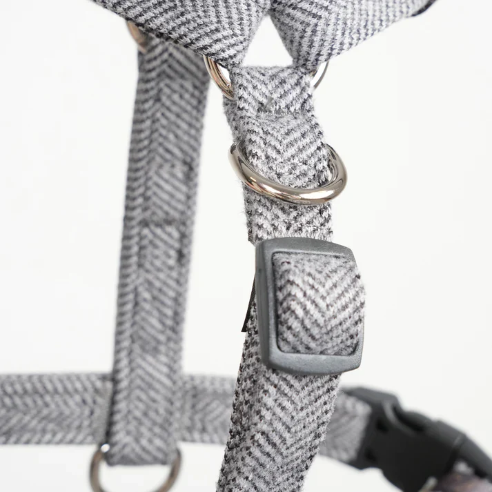 Tara H-Strap Dog Harness | Dusty Blue - Image 10