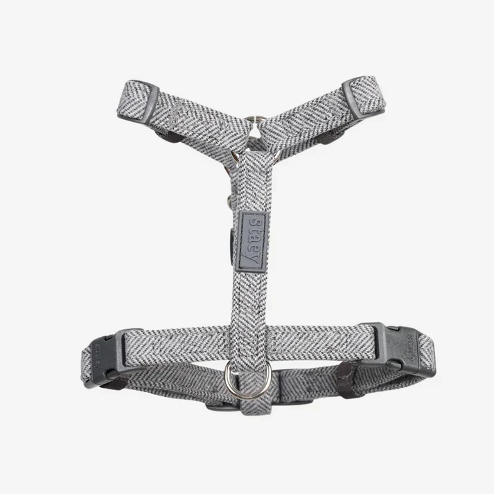 Tara H-Strap Dog Harness | Dusty Blue - Image 3