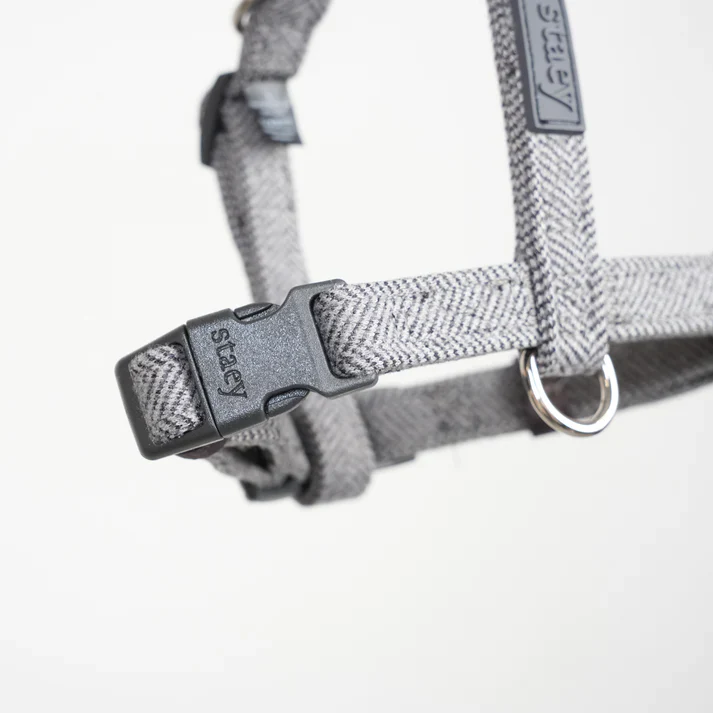 Tara H-Strap Dog Harness | Dusty Blue - Image 5