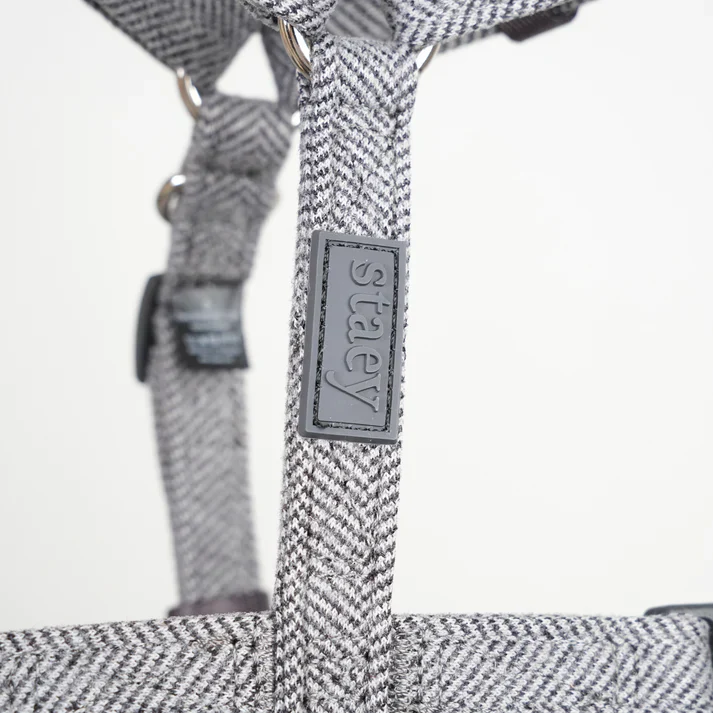 Tara H-Strap Dog Harness | Dusty Blue - Image 9