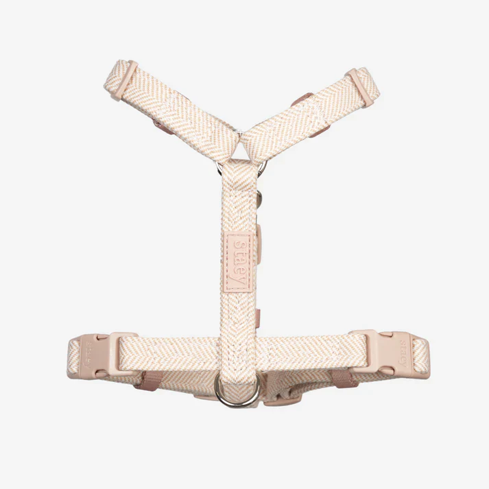 Tara H-Strap Dog Harness | Light Rose - Image 3