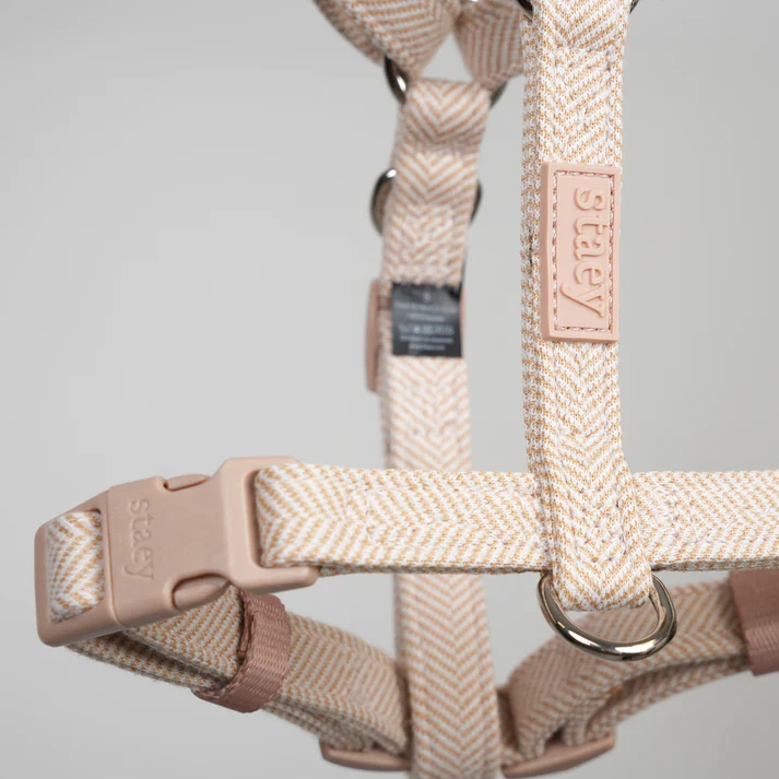 Tara H-Strap Dog Harness | Light Rose - Image 5