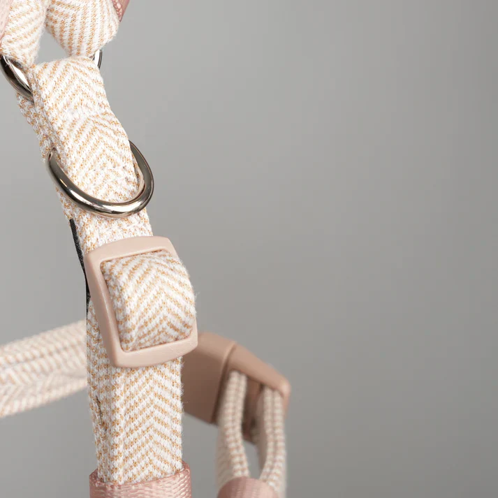 Tara H-Strap Dog Harness | Light Rose - Image 8