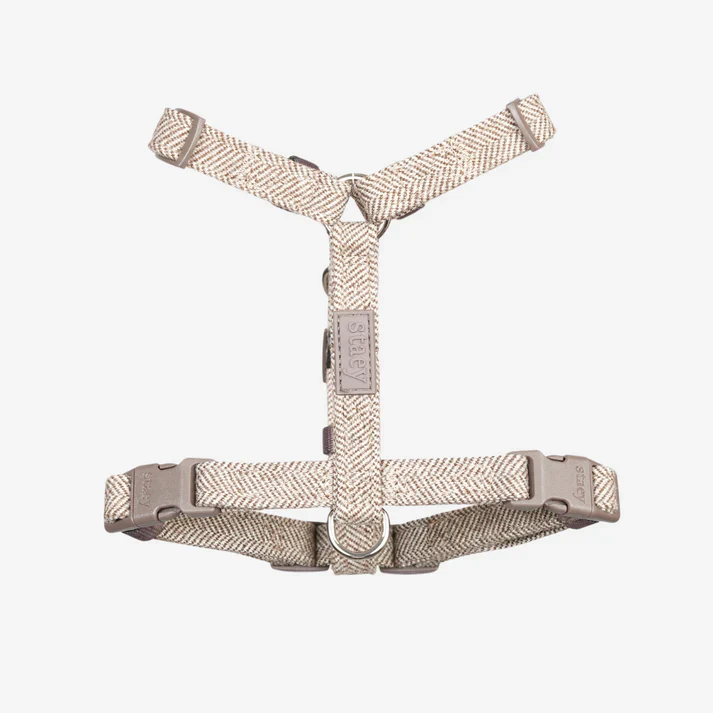 Tara H-Strap Dog Harness | Mocca - Image 3
