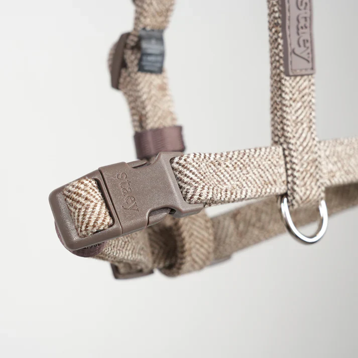 Tara H-Strap Dog Harness | Mocca - Image 5