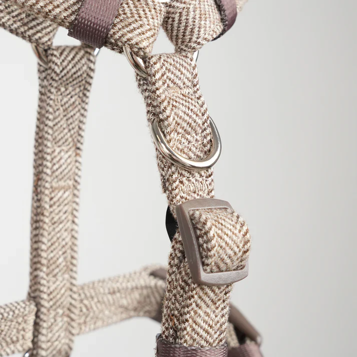 Tara H-Strap Dog Harness | Mocca - Image 9