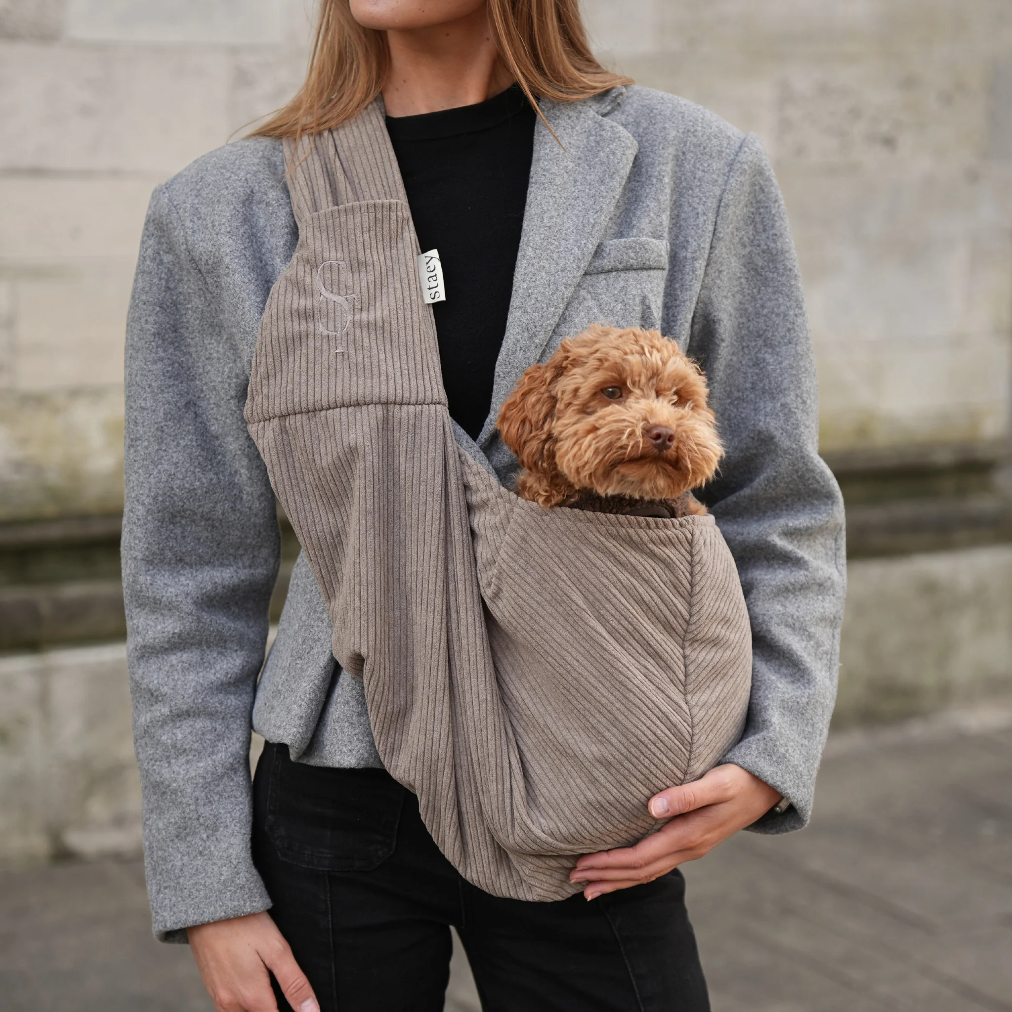 Ava Puppy Carrier | Corduroy - Image 3