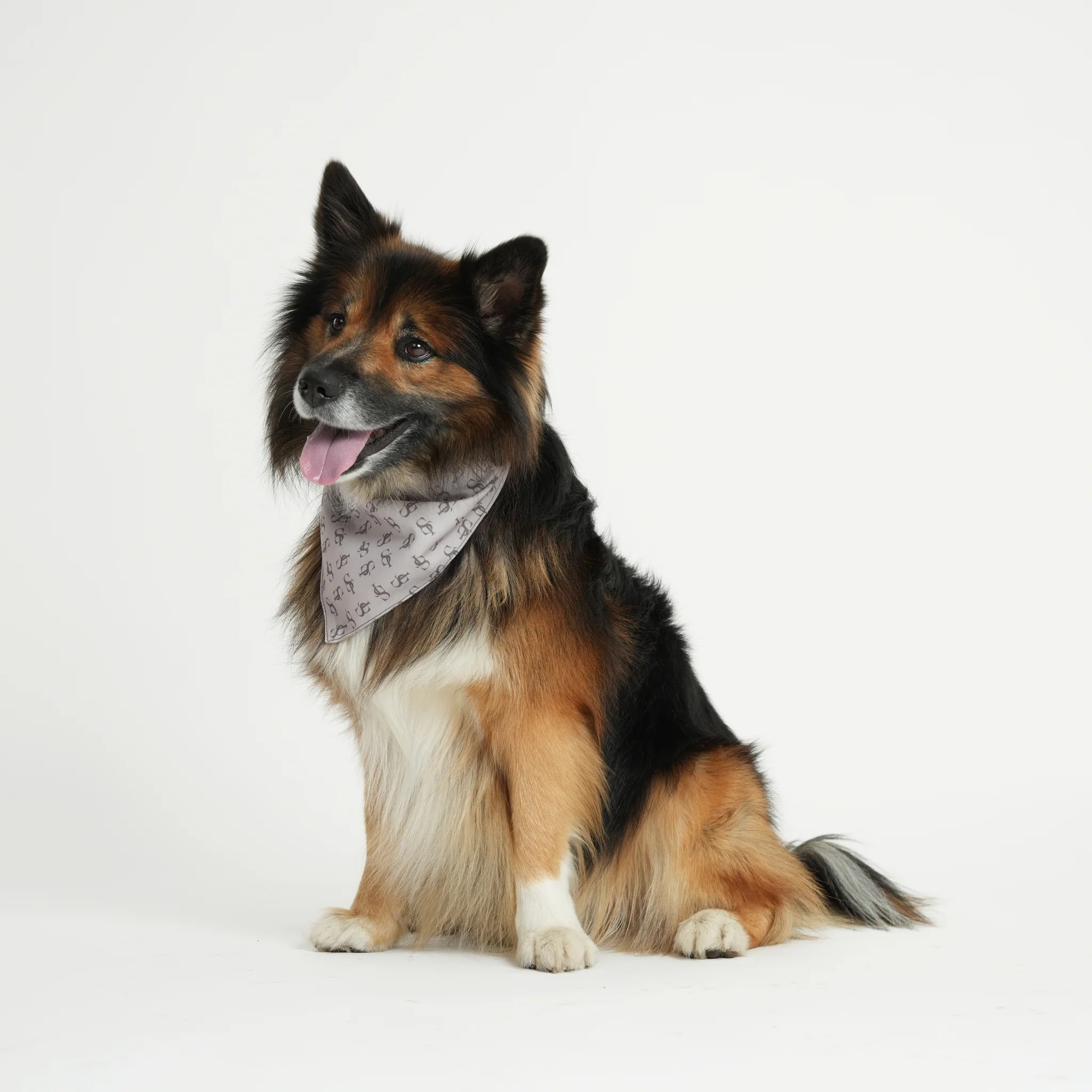 ST Bandana - Image 3