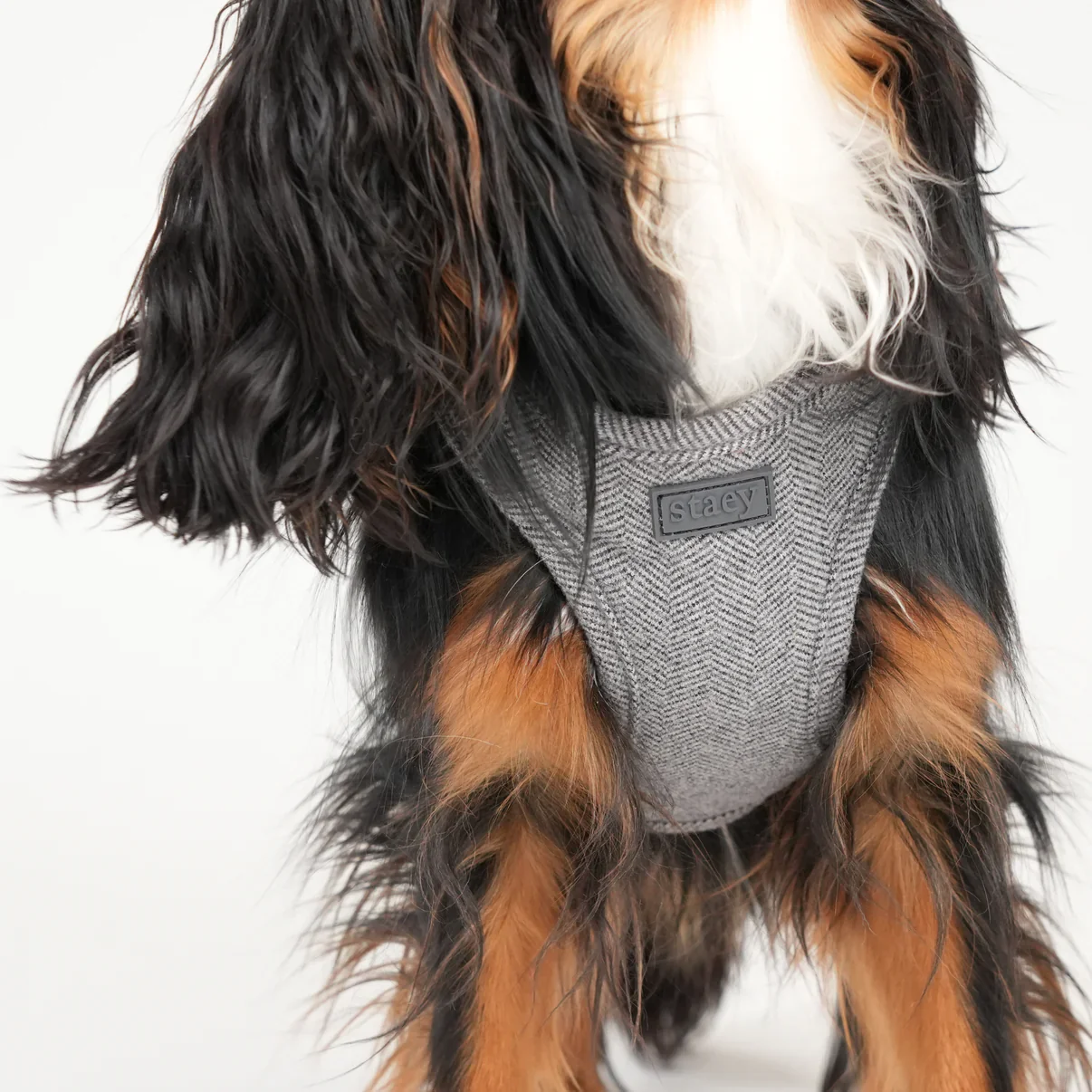 Saga Step-In Dog Harness | Dusty Blue - Image 4