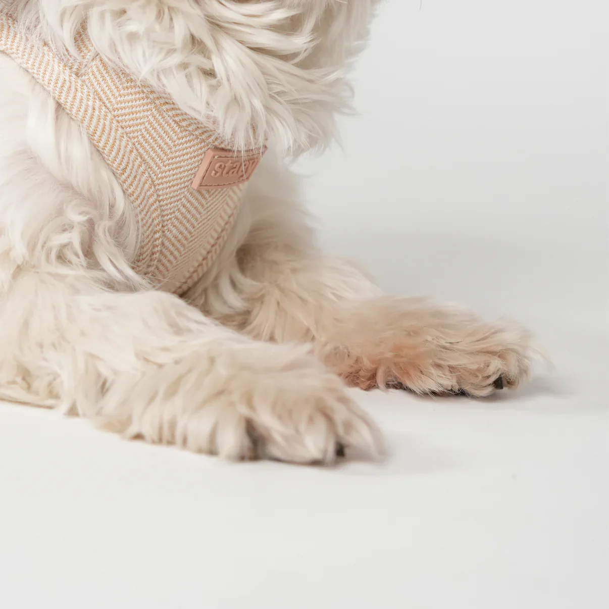 Saga Step-In Dog Harness | Light Rose - Image 4