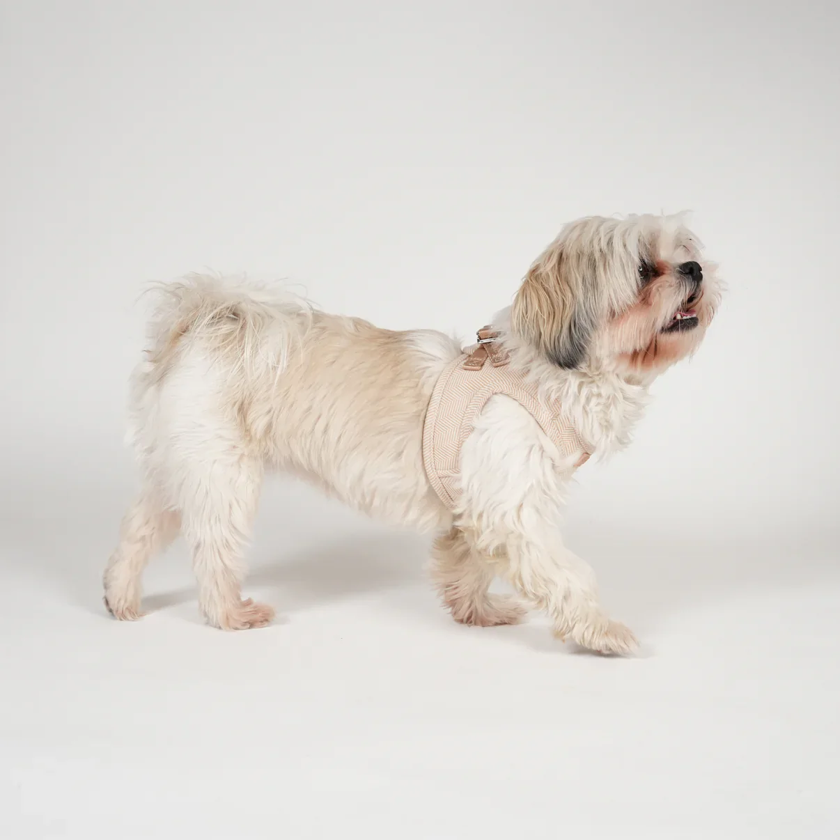 Saga Step-In Dog Harness | Light Rose - Image 5