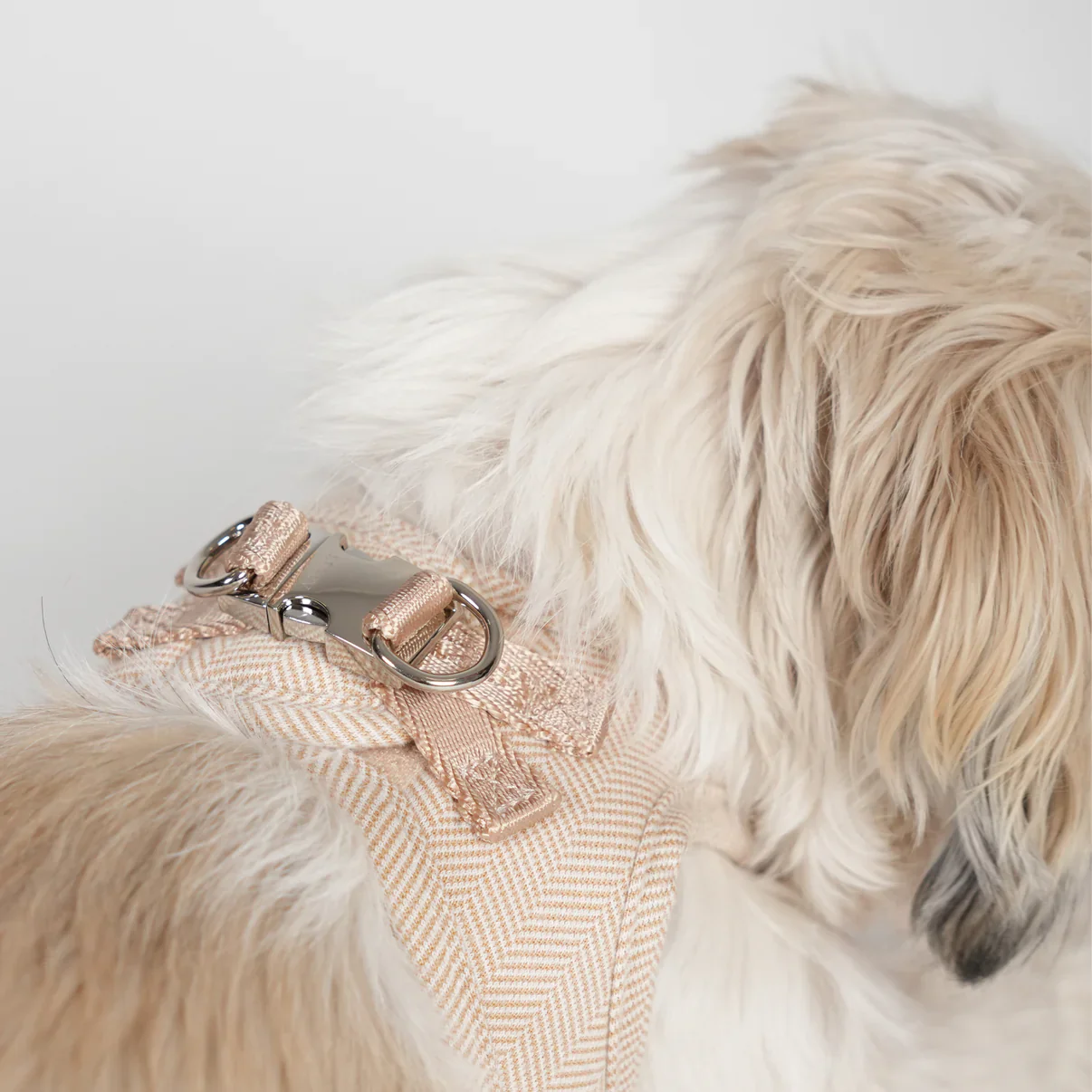 Saga Step-In Dog Harness | Light Rose - Image 6