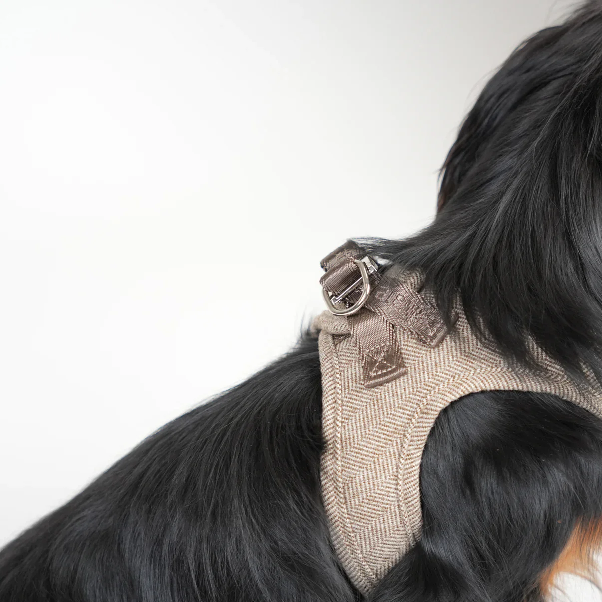 Saga Step-In Dog Harness | Mocca - Image 4