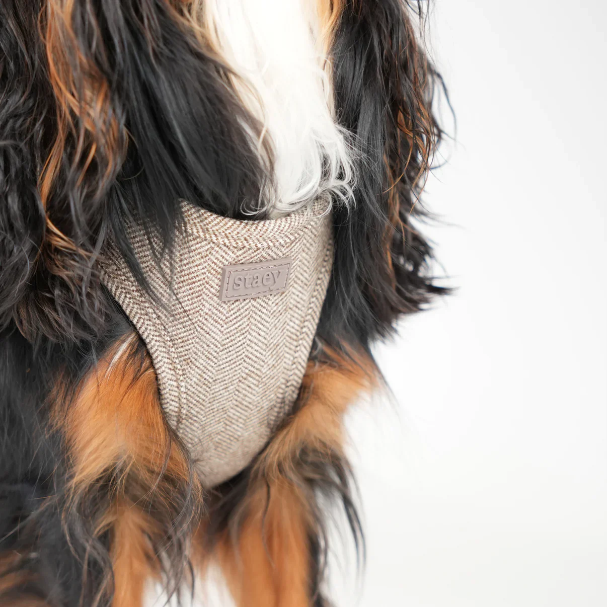Saga Step-In Dog Harness | Mocca - Image 6
