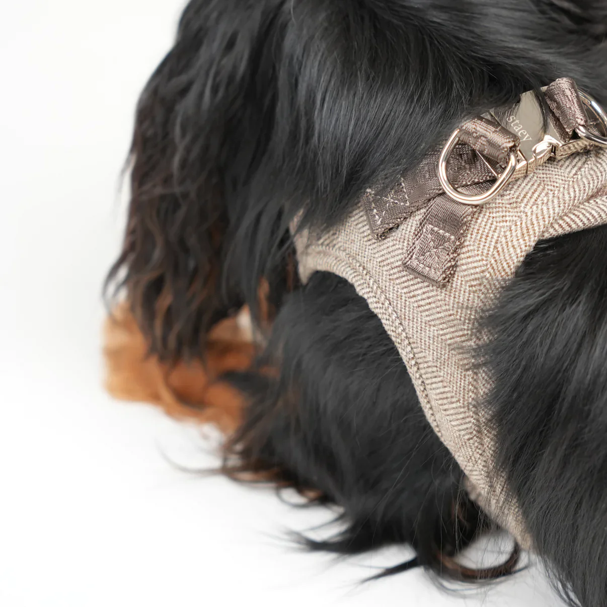 Saga Step-In Dog Harness | Mocca - Image 7