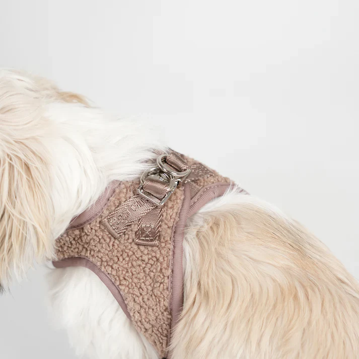 Teddy Step-In Dog Harness | Mocca - Image 4
