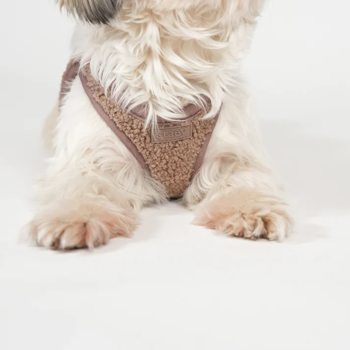 Teddy Step-In Dog Harness | Mocca - Image 5