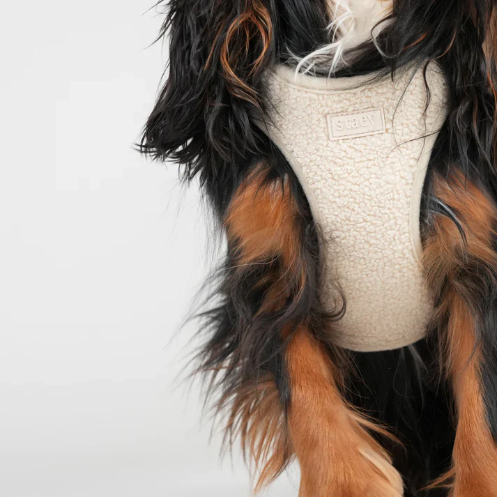 Teddy Step-In Dog Harness | Nature - Image 5